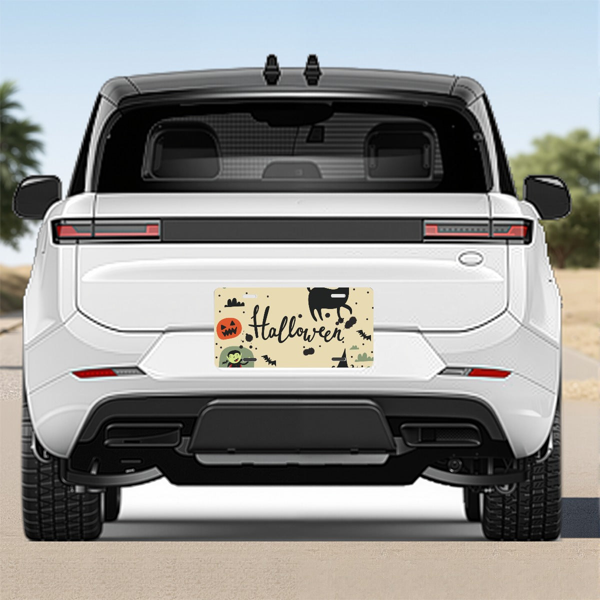 Car Aluminum License Plate For the USA