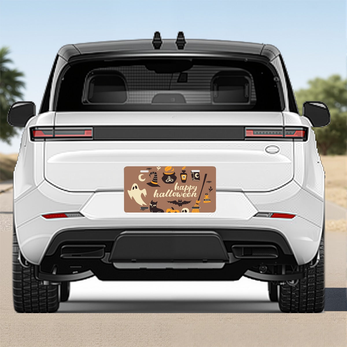 Car Aluminum License Plate For the USA